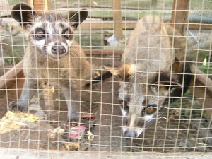 3822640313_c9dc838475