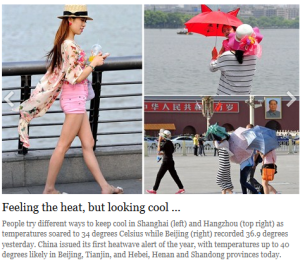 FireShot Screen Capture #002 - 'Shanghai Daily I 上海日报 -- English Window to China News' - www_shanghaidaily_com