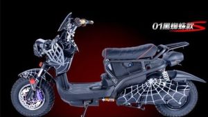 FireShot Screen Capture #6877 - '酷车家族电机车祖玛电动车电摩60V72V96V800W1000W加长版-淘宝网' - item_taobao_com_item_htm_spm=a230r_1_14_157_G8zmm3&id=37007073766&ns=1#detail