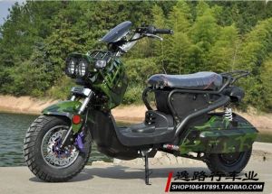 FireShot Screen Capture #6892 - '祖玛电动车 电动摩托车1000w_电动车 花型版画电动车 包邮-淘宝网' - item_taobao_com_item_htm_id=27544128500&ali_refid=a3_420434_1006_1106440199_6_µç¶¯³µ_b5840c6ab54b028d793fa40783b494c0&ali_trackid=1_b